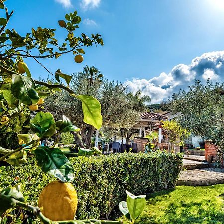 B&B Villa Bency Capo dʼOrlando Extérieur photo